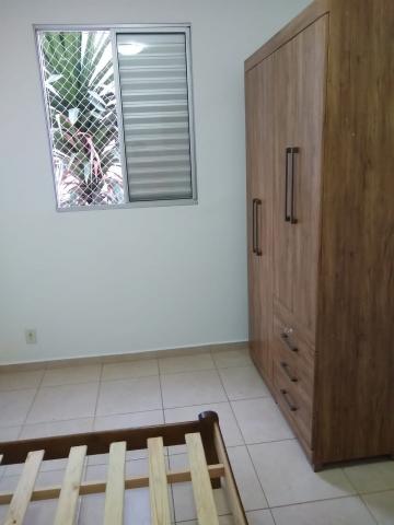 Alugar Apartamento / Mobiliado em Botucatu R$ 950,00 - Foto 8 Alugar Apartamento / Mobiliado em Botucatu R$ 950,00 - Foto 8