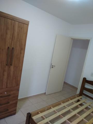 Alugar Apartamento / Mobiliado em Botucatu R$ 950,00 - Foto 9 Alugar Apartamento / Mobiliado em Botucatu R$ 950,00 - Foto 9