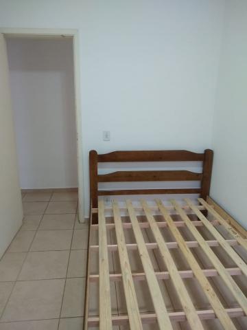 Alugar Apartamento / Mobiliado em Botucatu R$ 950,00 - Foto 10 Alugar Apartamento / Mobiliado em Botucatu R$ 950,00 - Foto 10
