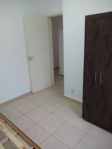 Alugar Apartamento / Mobiliado em Botucatu R$ 950,00 - Foto 12 Alugar Apartamento / Mobiliado em Botucatu R$ 950,00 - Foto 12