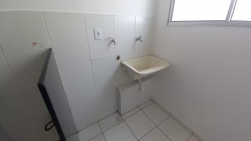 Alugar Apartamento / Padrão em Botucatu R$ 800,00 - Foto 6 Alugar Apartamento / Padrão em Botucatu R$ 800,00 - Foto 6