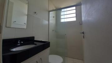 Alugar Apartamento / Padrão em Botucatu R$ 800,00 - Foto 9 Alugar Apartamento / Padrão em Botucatu R$ 800,00 - Foto 9