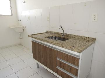 Alugar Apartamento / Padrão em Botucatu R$ 650,00 - Foto 3 Alugar Apartamento / Padrão em Botucatu R$ 650,00 - Foto 3