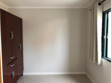 Alugar Apartamento / Padrão em Botucatu R$ 657,58 - Foto 5 Alugar Apartamento / Padrão em Botucatu R$ 657,58 - Foto 5