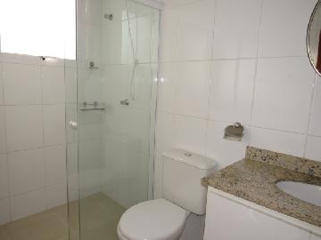 Alugar Apartamento / Padrão em Botucatu R$ 1.500,00 - Foto 15 Alugar Apartamento / Padrão em Botucatu R$ 1.500,00 - Foto 15