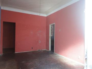 Alugar Comercial / Ponto Comercial em Botucatu R$ 900,00 - Foto 3 Alugar Comercial / Ponto Comercial em Botucatu R$ 900,00 - Foto 3