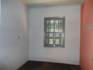 Alugar Comercial / Ponto Comercial em Botucatu R$ 900,00 - Foto 5 Alugar Comercial / Ponto Comercial em Botucatu R$ 900,00 - Foto 5
