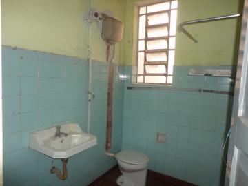 Alugar Comercial / Ponto Comercial em Botucatu R$ 900,00 - Foto 7 Alugar Comercial / Ponto Comercial em Botucatu R$ 900,00 - Foto 7