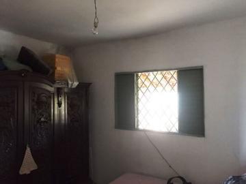 Comprar Rural / Sítio em Botucatu R$ 690.000,00 - Foto 3 Comprar Rural / Sítio em Botucatu R$ 690.000,00 - Foto 3