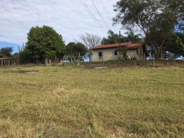 Comprar Rural / Sítio em Botucatu R$ 690.000,00 - Foto 6 Comprar Rural / Sítio em Botucatu R$ 690.000,00 - Foto 6