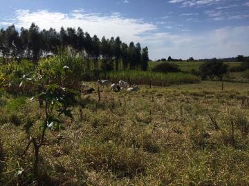 Comprar Rural / Sítio em Botucatu R$ 690.000,00 - Foto 9 Comprar Rural / Sítio em Botucatu R$ 690.000,00 - Foto 9