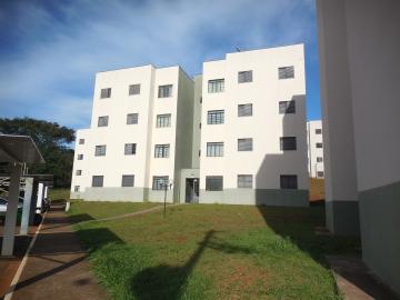 Alugar Apartamento / Padrão em Botucatu R$ 550,00 - Foto 1 Alugar Apartamento / Padrão em Botucatu R$ 550,00 - Foto 1