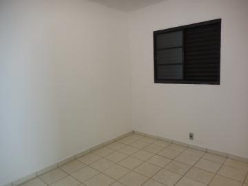 Alugar Apartamento / Padrão em Botucatu R$ 550,00 - Foto 8 Alugar Apartamento / Padrão em Botucatu R$ 550,00 - Foto 8