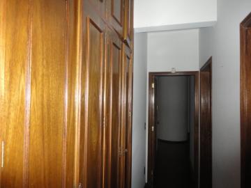 Alugar Apartamento / Padrão em Botucatu R$ 2.500,00 - Foto 11 Alugar Apartamento / Padrão em Botucatu R$ 2.500,00 - Foto 11