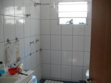 imagem 5 - Casa - Padrão imagem 5 - Casa - Padrão