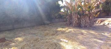 Comprar Terreno / Padrão em Botucatu R$ 500,00 - Foto 5 Comprar Terreno / Padrão em Botucatu R$ 500,00 - Foto 5