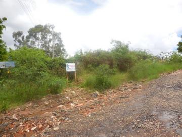 Alugar Terreno / Padrão em Rubião Júnior. apenas R$ 160.000,00