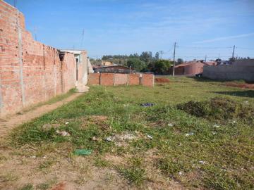 imagem 1 - Terreno - Padrão imagem 1 - Terreno - Padrão