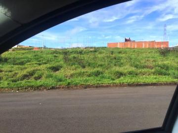 imagem 1 - Terreno - Padrão imagem 1 - Terreno - Padrão