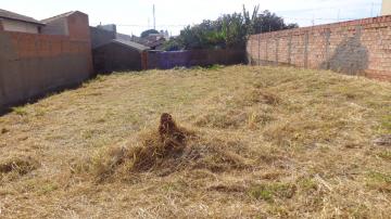 imagem 2 - Terreno - Padrão imagem 2 - Terreno - Padrão