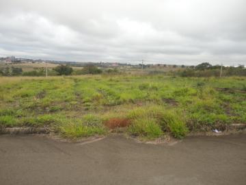 Alugar Terreno / Padrão em Botucatu. apenas R$ 100.000,00