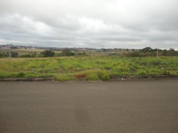 imagem 2 - Terreno - Padrão imagem 2 - Terreno - Padrão