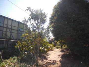 imagem 2 - Terreno - Padrão imagem 2 - Terreno - Padrão