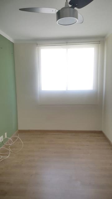 Alugar Apartamento / Padrão em Botucatu R$ 750,00 - Foto 12 Alugar Apartamento / Padrão em Botucatu R$ 750,00 - Foto 12