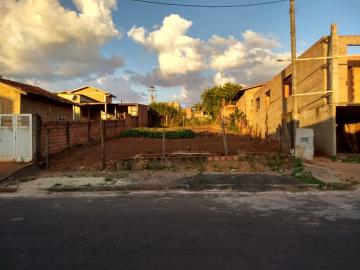 imagem 1 - Terreno - Padrão imagem 1 - Terreno - Padrão