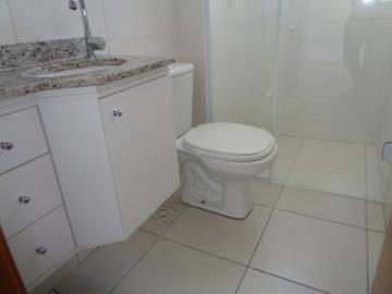 Alugar Apartamento / Padrão em Botucatu R$ 1.400,00 - Foto 11 Alugar Apartamento / Padrão em Botucatu R$ 1.400,00 - Foto 11