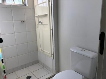 Alugar Apartamento / Padrão em Botucatu R$ 600,00 - Foto 7 Alugar Apartamento / Padrão em Botucatu R$ 600,00 - Foto 7