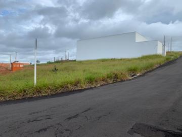 imagem 1 - Terreno - Padrão imagem 1 - Terreno - Padrão