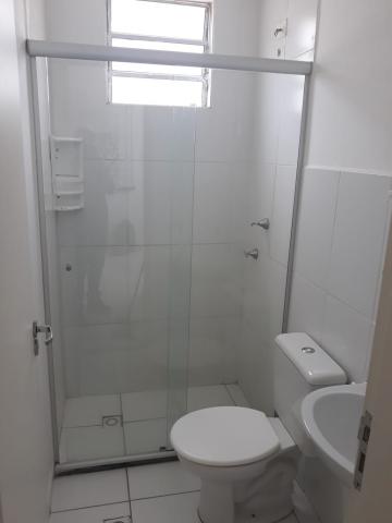 Alugar Apartamento / Padrão em Botucatu R$ 750,00 - Foto 9 Alugar Apartamento / Padrão em Botucatu R$ 750,00 - Foto 9