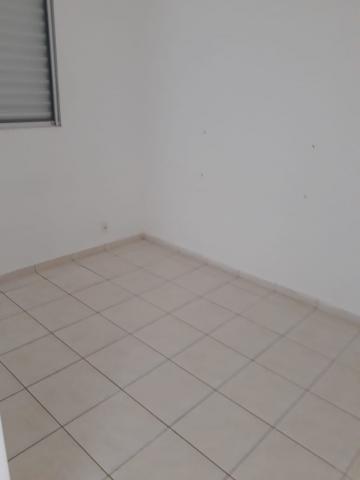 Alugar Apartamento / Padrão em Botucatu R$ 750,00 - Foto 10 Alugar Apartamento / Padrão em Botucatu R$ 750,00 - Foto 10