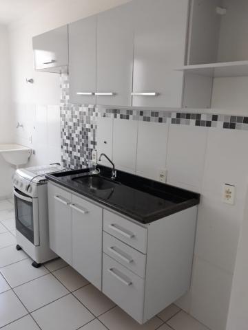 Alugar Apartamento / Padrão em Botucatu R$ 750,00 - Foto 8 Alugar Apartamento / Padrão em Botucatu R$ 750,00 - Foto 8
