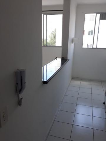 Alugar Apartamento / Padrão em Botucatu R$ 750,00 - Foto 7 Alugar Apartamento / Padrão em Botucatu R$ 750,00 - Foto 7