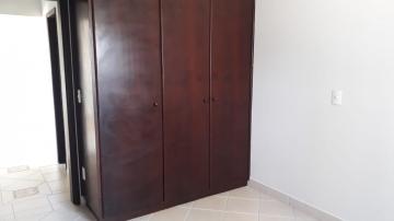 Alugar Apartamento / Padrão em Botucatu R$ 1.500,00 - Foto 15 Alugar Apartamento / Padrão em Botucatu R$ 1.500,00 - Foto 15