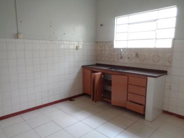 Alugar Comercial / Ponto Comercial em Botucatu R$ 1.500,00 - Foto 12 Alugar Comercial / Ponto Comercial em Botucatu R$ 1.500,00 - Foto 12