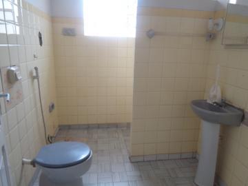 Alugar Comercial / Ponto Comercial em Botucatu R$ 1.500,00 - Foto 15 Alugar Comercial / Ponto Comercial em Botucatu R$ 1.500,00 - Foto 15