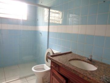 Alugar Comercial / Ponto Comercial em Botucatu R$ 1.500,00 - Foto 16 Alugar Comercial / Ponto Comercial em Botucatu R$ 1.500,00 - Foto 16