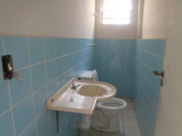 Alugar Comercial / Ponto Comercial em Botucatu R$ 1.500,00 - Foto 19 Alugar Comercial / Ponto Comercial em Botucatu R$ 1.500,00 - Foto 19