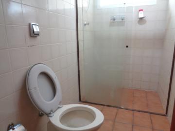 Alugar Apartamento / Padrão em Botucatu R$ 1.300,00 - Foto 11 Alugar Apartamento / Padrão em Botucatu R$ 1.300,00 - Foto 11