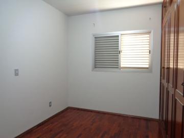 Alugar Apartamento / Padrão em Botucatu R$ 1.300,00 - Foto 14 Alugar Apartamento / Padrão em Botucatu R$ 1.300,00 - Foto 14