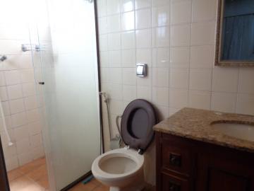 Alugar Apartamento / Padrão em Botucatu R$ 1.300,00 - Foto 17 Alugar Apartamento / Padrão em Botucatu R$ 1.300,00 - Foto 17