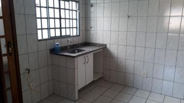Alugar Apartamento / Padrão em Botucatu. apenas R$ 800,00