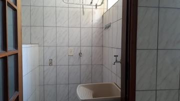 imagem 3 - Apartamento - Padrão imagem 3 - Apartamento - Padrão