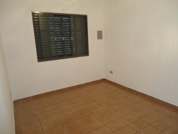 imagem 5 - Casa - Padrão imagem 5 - Casa - Padrão