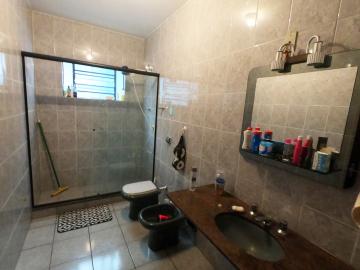 Alugar Casa / Padrão em Botucatu R$ 2.500,00 - Foto 20 Alugar Casa / Padrão em Botucatu R$ 2.500,00 - Foto 20