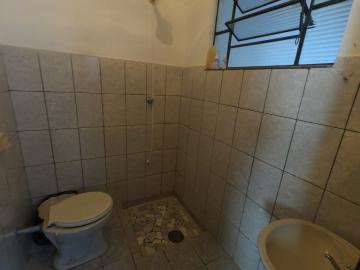 Alugar Casa / Padrão em Botucatu R$ 2.500,00 - Foto 30 Alugar Casa / Padrão em Botucatu R$ 2.500,00 - Foto 30