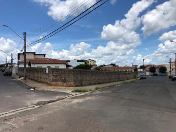 Alugar Terreno / Padrão em Botucatu. apenas R$ 700.000,00